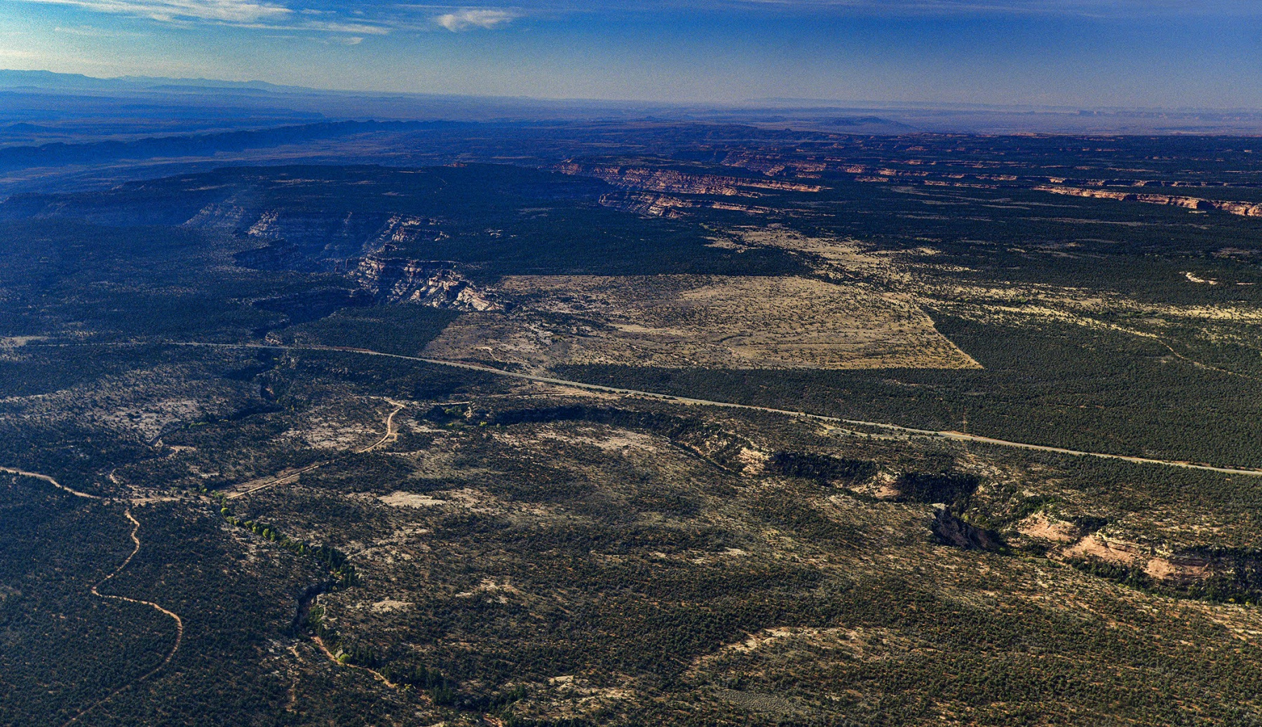 Cedar_Mesa_SITLA_Sq_Mile_Top_Mule_c_Tim_Peterson_EcoFlight