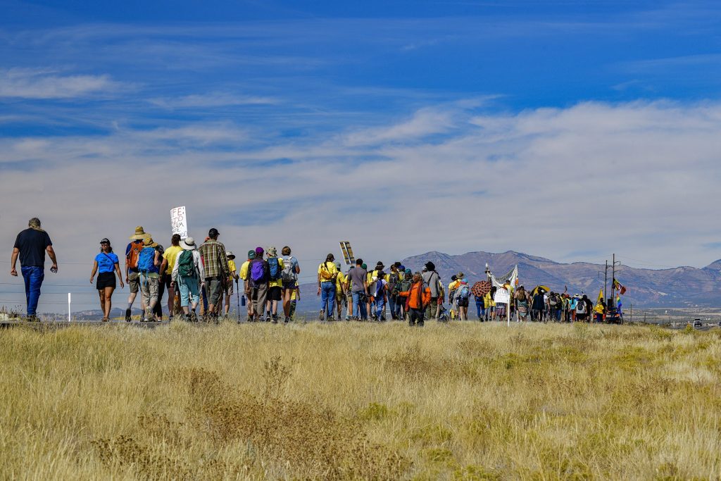 timpetersonphotography.com